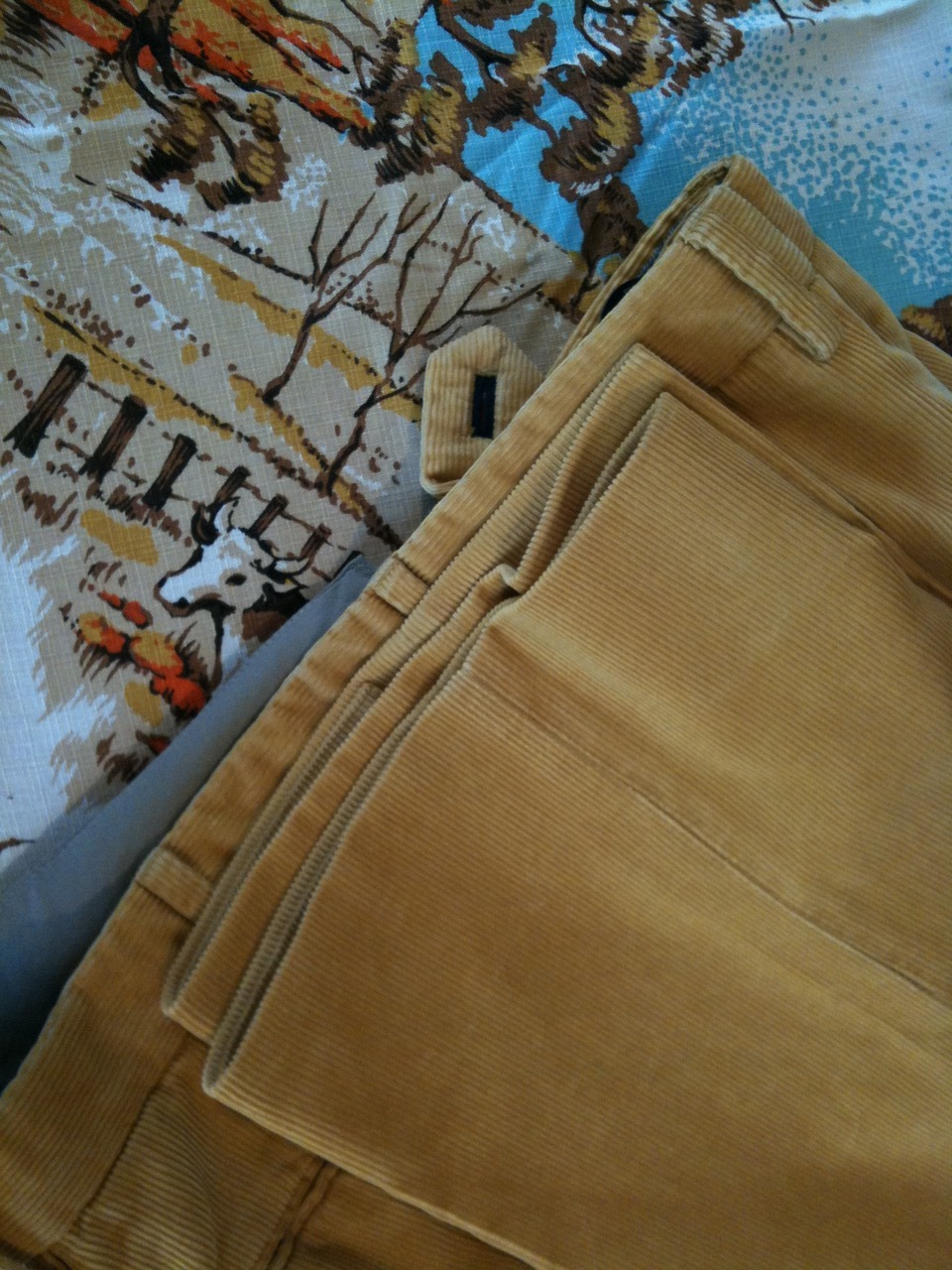 A Trip to the Tailor