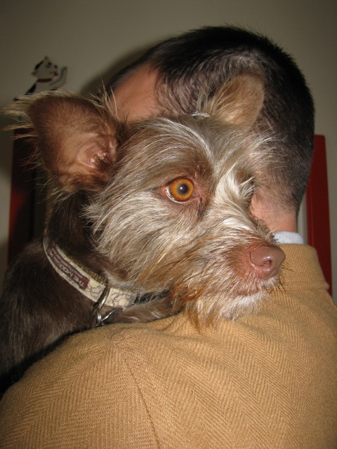 The right accessories are key to any outfit