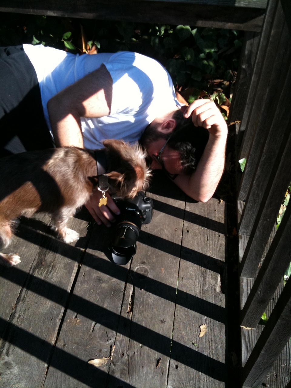 Cocoa was on hand to assist