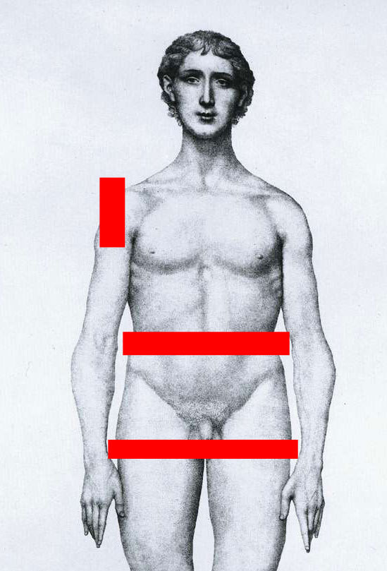 Three Basic Points of Fit: Waist, Shoulder & Length