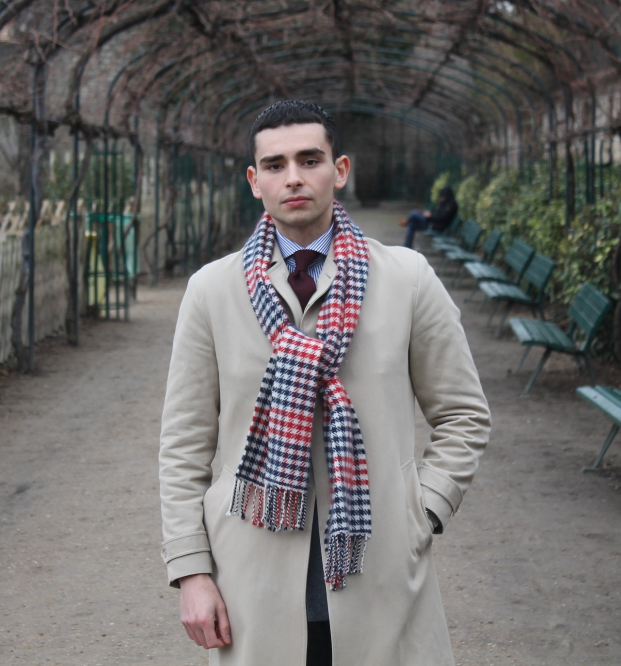 The Young Man in the Grey Flannel Suit