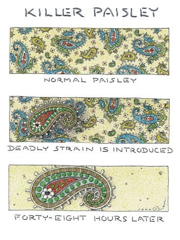 From this week&rsquo;s New Yorker style issue; by John O'Brien