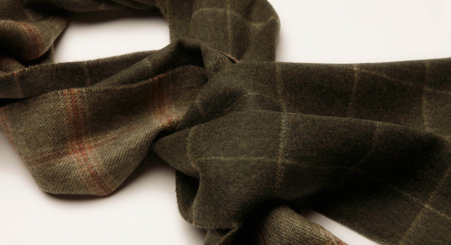 Our Beloved Sponsors