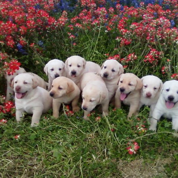 Put This On&rsquo;s Seven Spring Essentials!