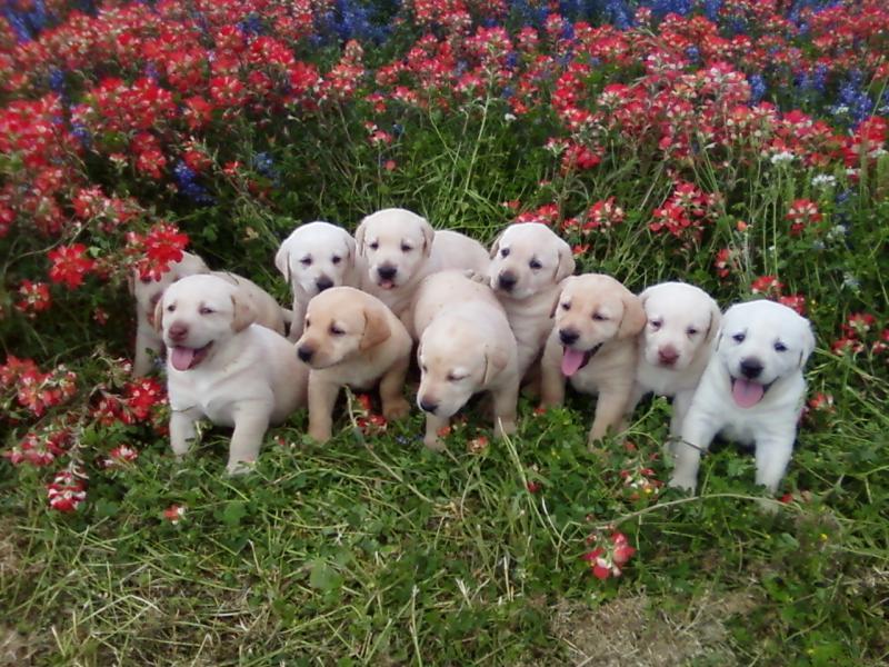 Put This On&rsquo;s Seven Spring Essentials!