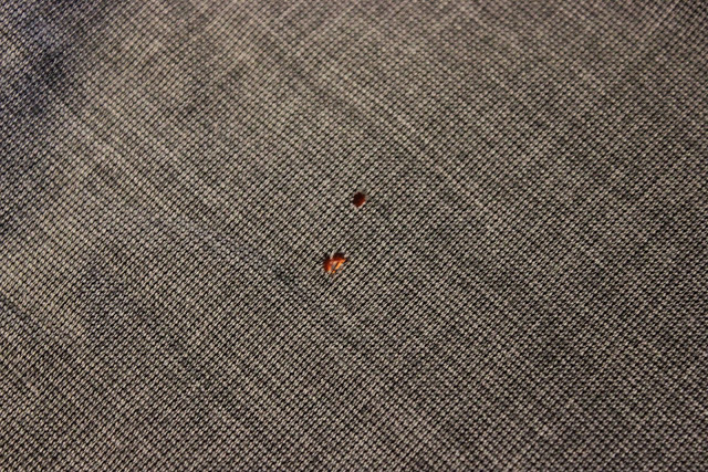 The Most Important Step in Storage