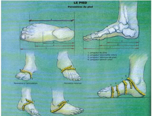 Q & Answer: How Do You Pick the Right Shoe Size Online?