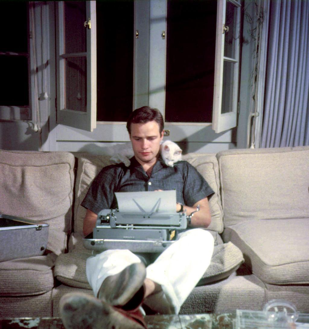 Famous style icons and their cats