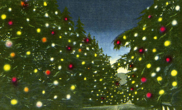 Join the Inside Track, Free!