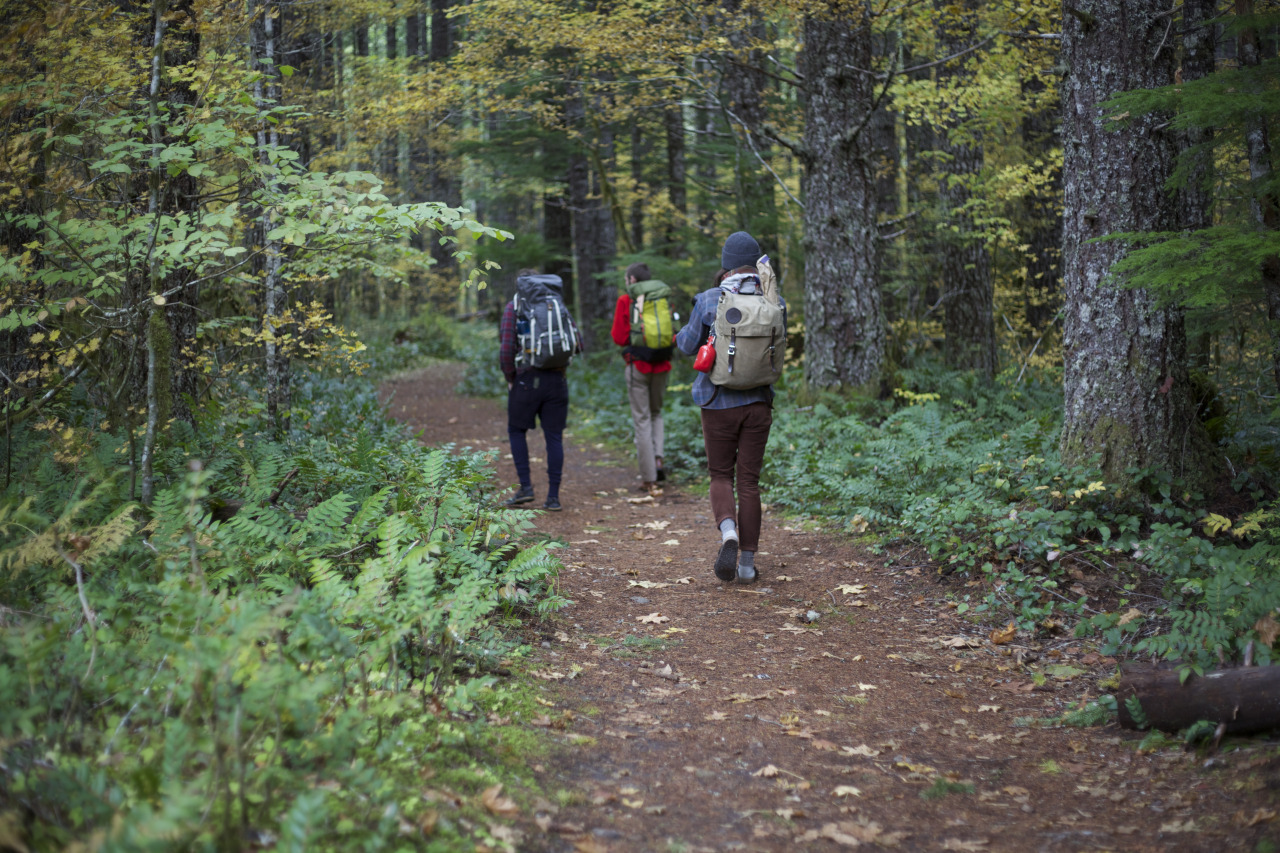 Style Inspiration without Clothes