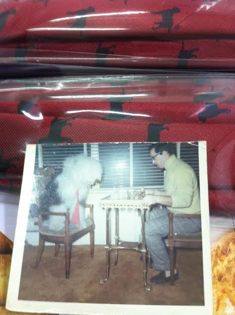 The Story of Chipp’s Dog